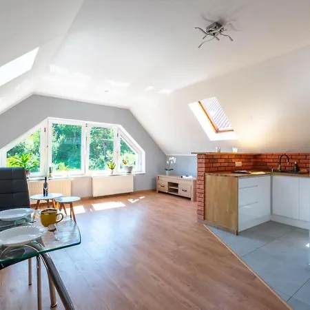 Familia Na Wzgorzu 3 Z Sauna I Sala Zabaw Dla Dzieci דירה